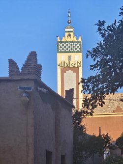84e835d8-05de-4635-a1e3-687a8495d035.jpeg