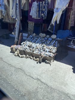 IMG_2698.jpeg