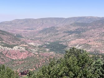 IMG_2725.jpeg