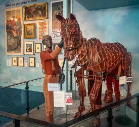 BC SA Day 7 YV&A Horse.jpg