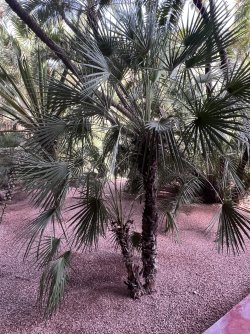IMG_2774.jpeg