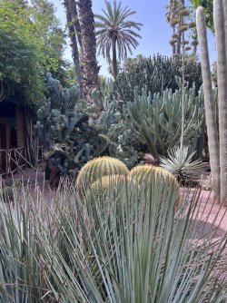 IMG_2784.jpeg