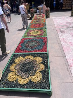 IMG_2797.jpeg
