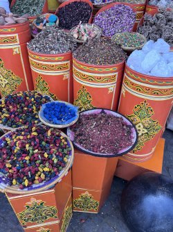 IMG_2798.jpeg