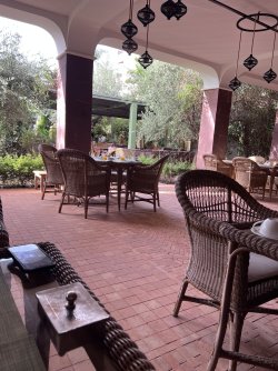 IMG_2832.jpeg
