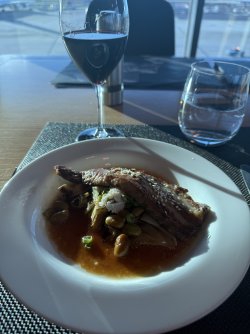 IMG_6833.jpeg IMG_6833.jpeg
