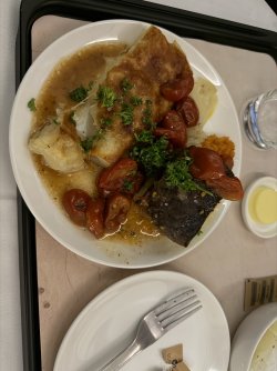 IMG_1551.jpeg