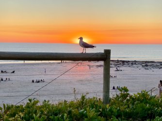 IMG_8995.jpeg