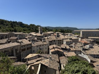 IMG_1223.jpeg