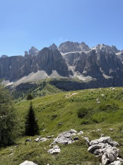 IMG_8023.jpeg