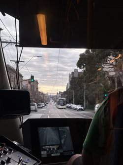 IMG_9195.jpeg