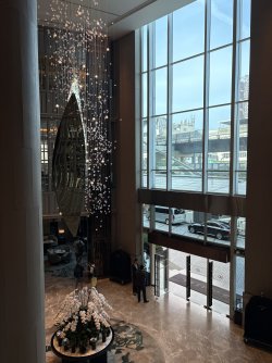 IMG_4805.jpeg IMG_4805.jpeg