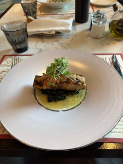 IMG_4811.jpeg IMG_4811.jpeg