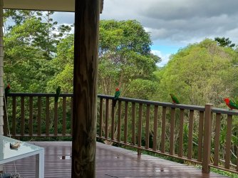 IMG_20260722_124716553_HDR.jpg