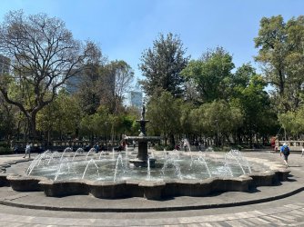 IMG_6233.jpeg