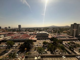 IMG_6306.jpeg