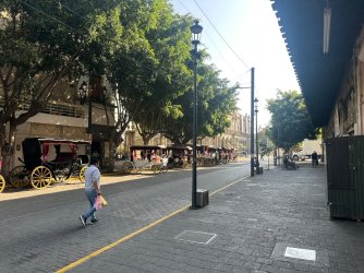 IMG_6312.jpeg