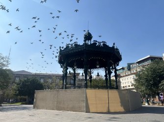 IMG_6314.jpeg