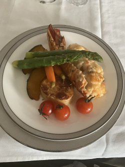 IMG_3383.jpeg
