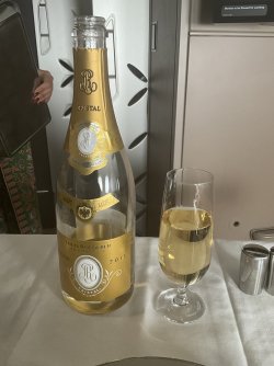 IMG_3384.jpeg