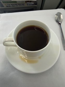 IMG_9340.jpeg