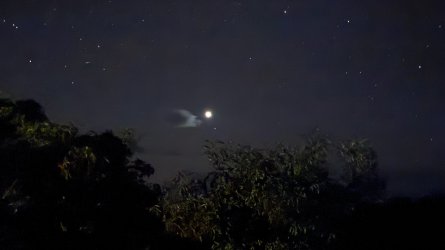 IMG_1163.JPEG