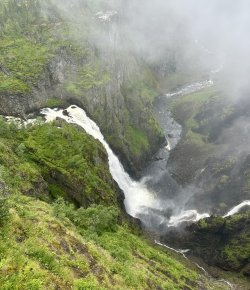 IMG_4614.jpeg