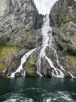 IMG_4943.jpeg