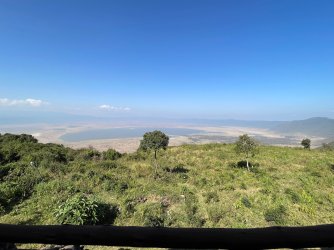 IMG_5647.jpeg