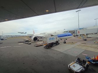IMG_20260809_110317406.jpg