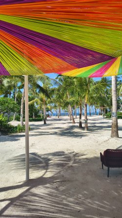 IMG_20260611_085255755_HDR.jpg