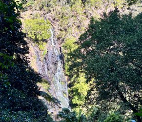 IMG_9177.jpeg