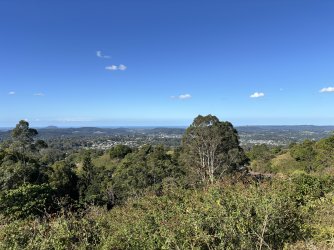 IMG_9183.jpeg