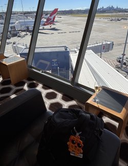 IMG_0206.jpeg