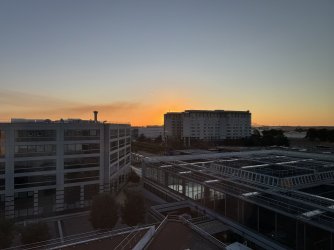 IMG_1666.jpeg IMG_1666.jpeg