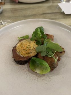 IMG_8089.jpeg