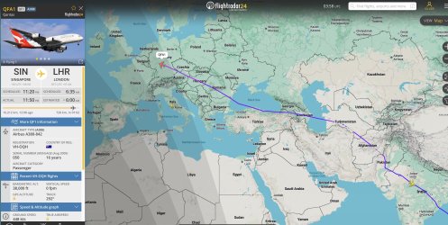 qf1.jpg