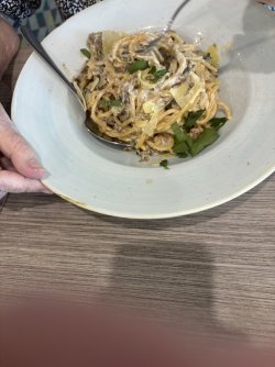 IMG_8752.jpeg