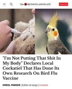 6b778baf-f83a-48b4-aafa-0c3b0e4bac4f.jpeg