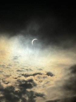 IMG_9314.jpeg
