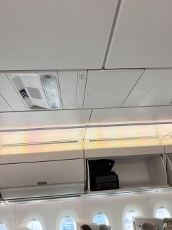 IMG_3325.jpeg