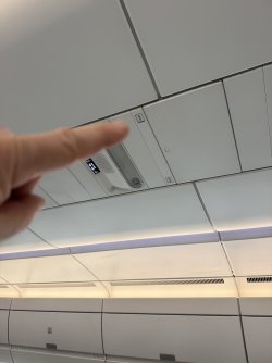 IMG_3329.jpeg