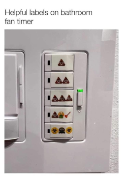 1787019588802.png