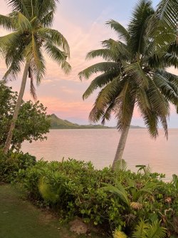 IMG_7313.jpeg