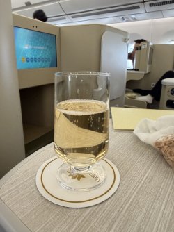 IMG_3366.jpeg