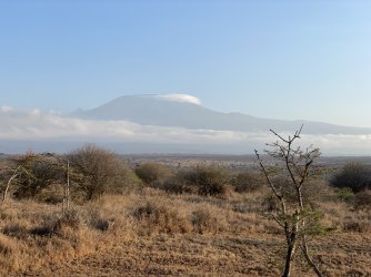 IMG_5811.jpeg