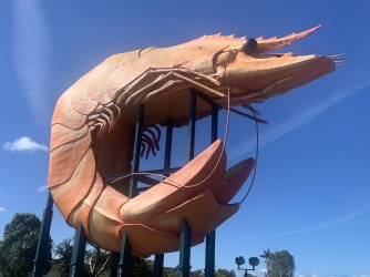 IMG_4317.jpeg