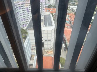 IMG_0142.jpeg IMG_0142.jpeg