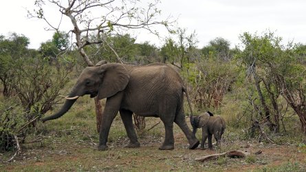 ZV_04603s.jpg