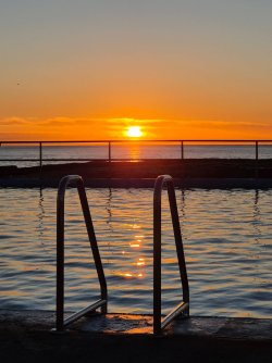 IMG_3817.jpeg